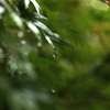 一雨ごとに