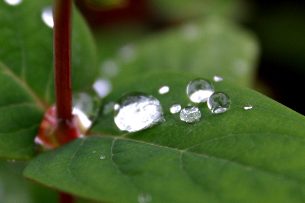 waterdrop