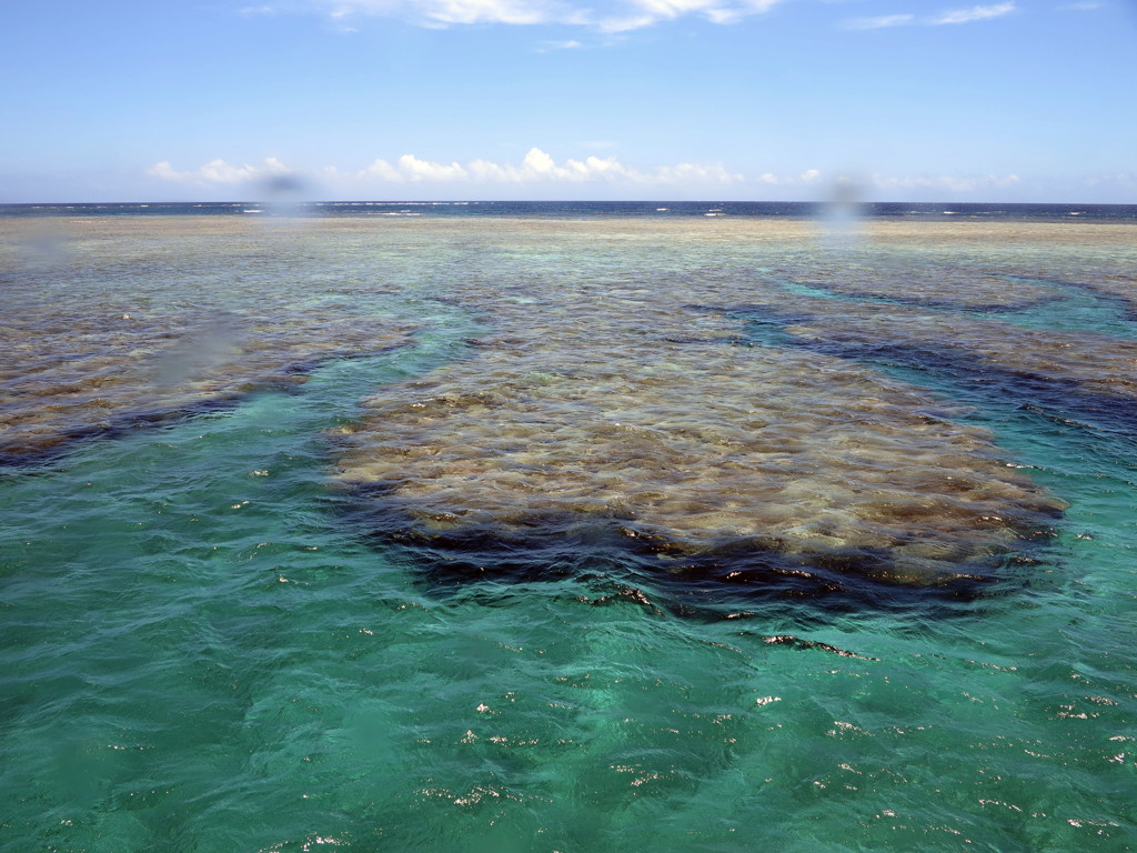 八重干瀬海域