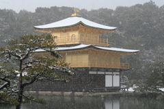 雪の金閣寺
