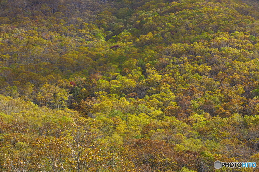 峠・紅葉 09b