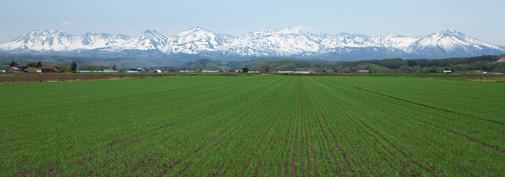 パノラマにしてみました  5