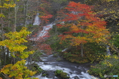 阿寒湖 滝見の橋・紅葉 06