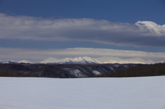 春待つ大地　０３