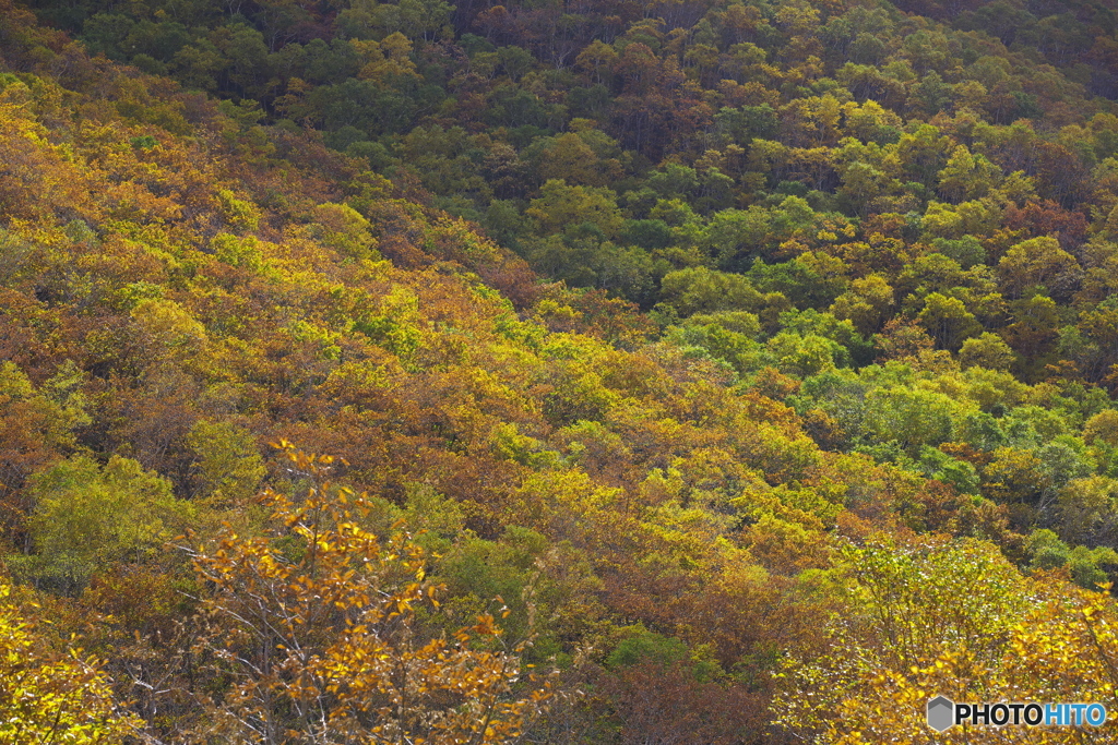 峠・紅葉 08