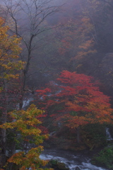 Renovation35 滝口 紅葉2