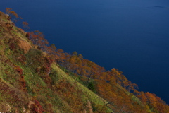 Renovation26 斜面・秋景