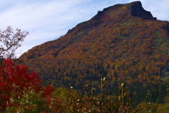 Renovation24 黒岳紅葉