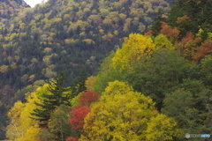 峠・紅葉 01