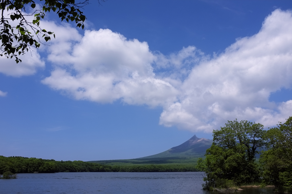 大沼公園・六月