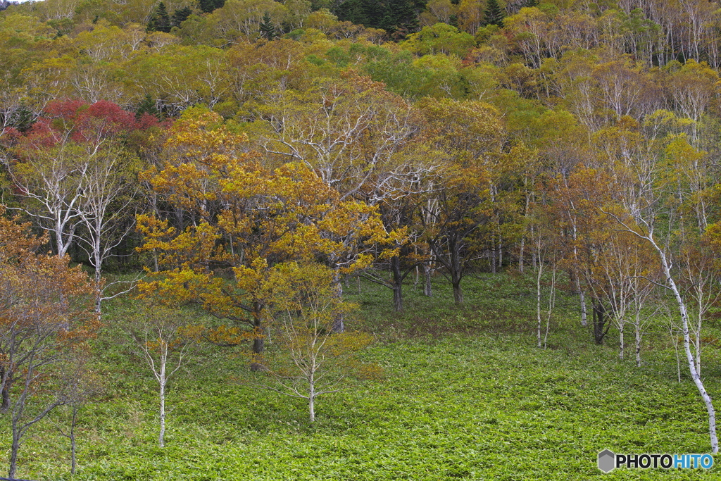 峠・紅葉 10b