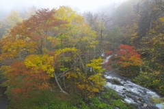 阿寒湖 滝見の橋・紅葉 03