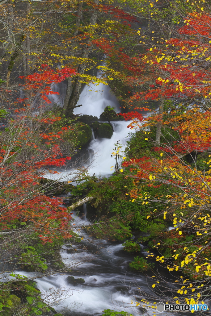 阿寒湖 滝見の橋・紅葉 10