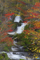 阿寒湖 滝見の橋・紅葉 10