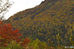 大雪山系・秋 5