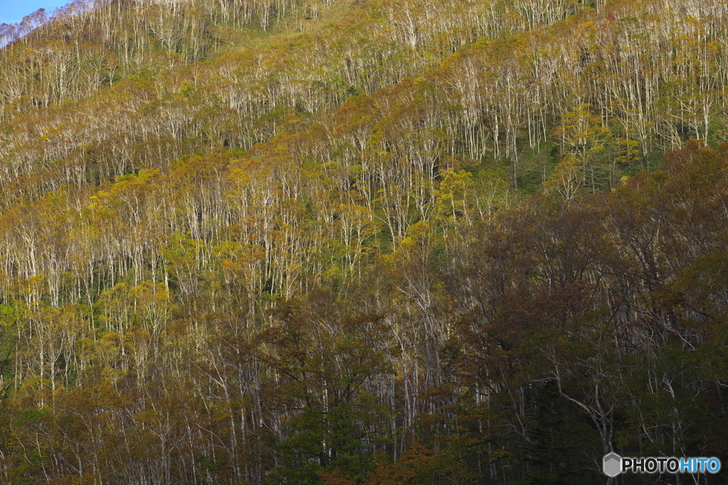 峠・紅葉 04