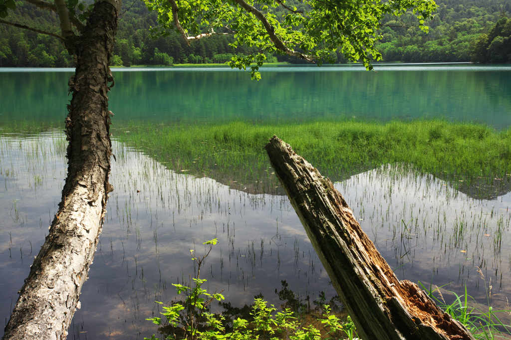 オンネトーにて -04