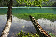 オンネトーにて -04