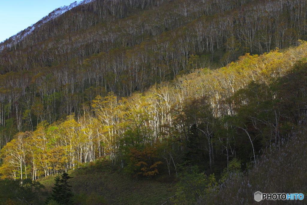 峠・紅葉 05