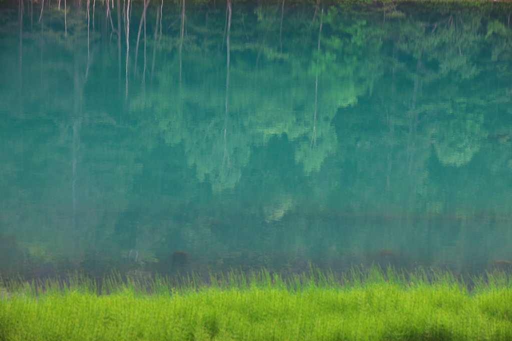 オンネトーの初夏　０１