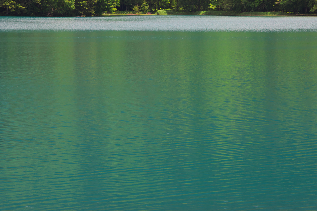 オンネトーの初夏　０２