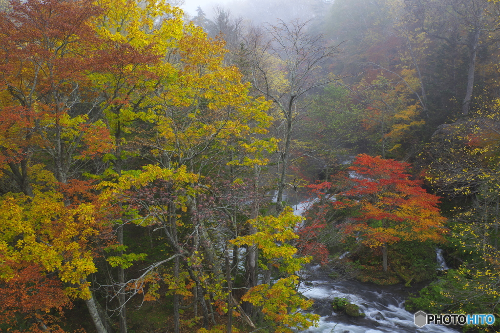 阿寒湖 滝見の橋・紅葉 04