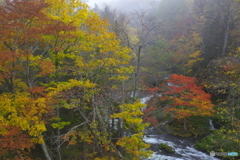 阿寒湖 滝見の橋・紅葉 04