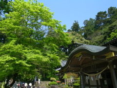 cablecar010