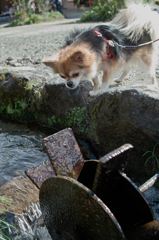 気になる