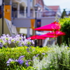 outlet