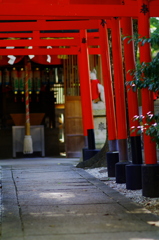 gateway to a Shinto shrine