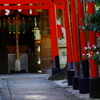 gateway to a Shinto shrine