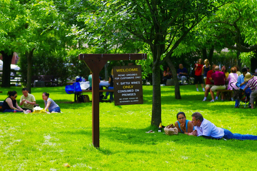 vsattui picnic