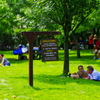 vsattui picnic