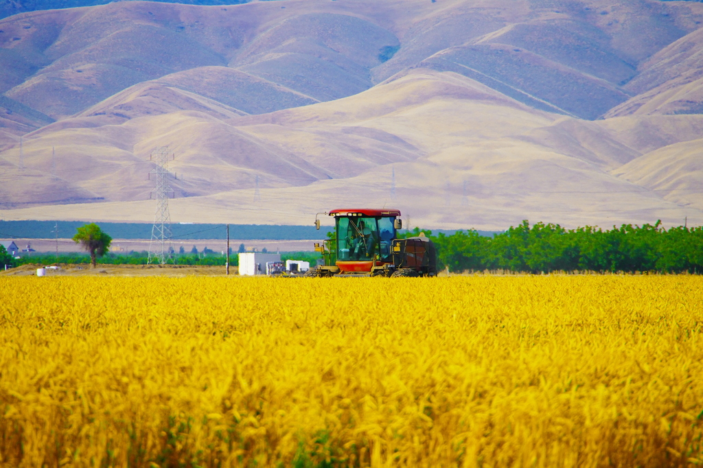 farm　harvest