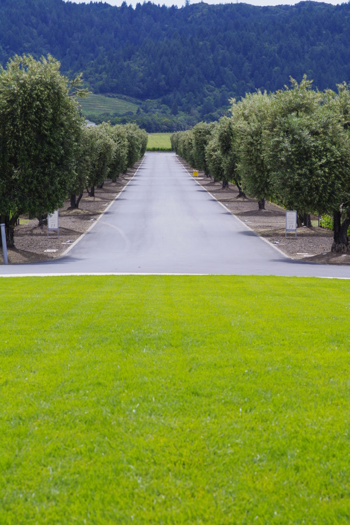 opus one winery9
