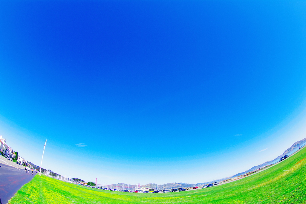 The Grass and Sky