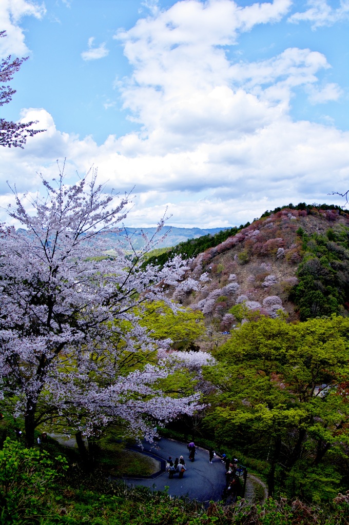 NARA-Yoshino