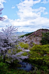 NARA-Yoshino