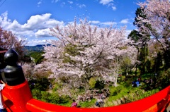 NARA-Yoshino