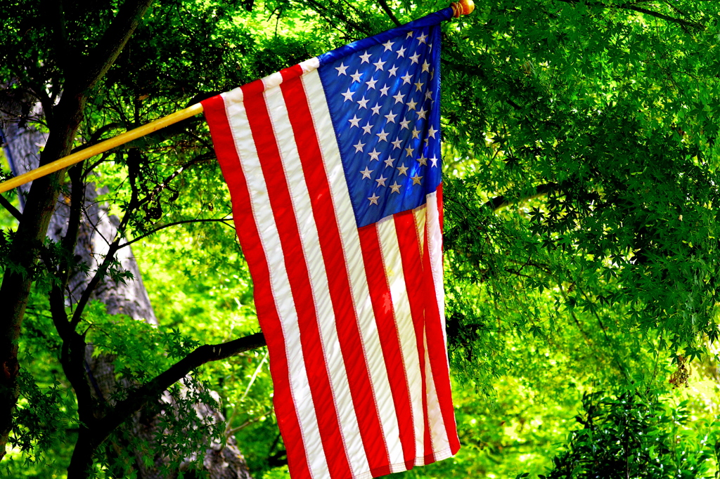 american flag