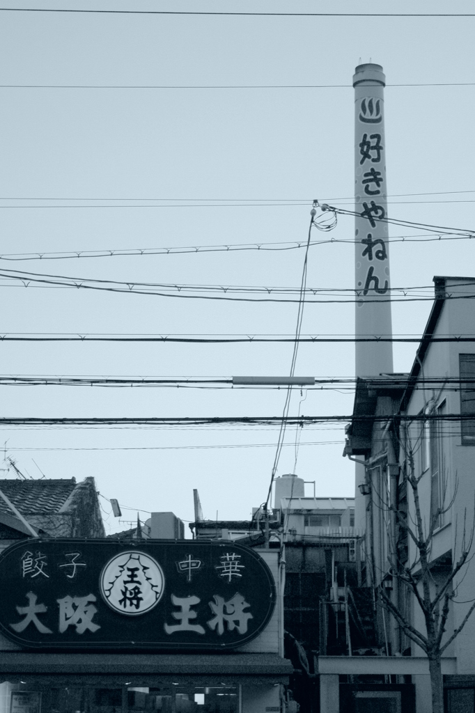 好きやねん～大阪王将