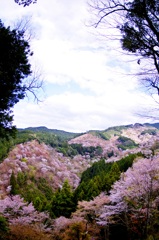 NARA-Yoshino