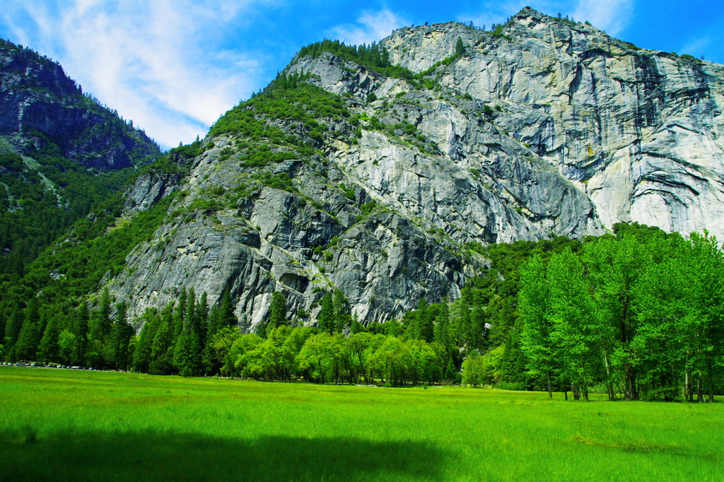 Yosemite N.P.