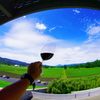 opus one winery5