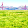 Golden Gate Bridge and Grass