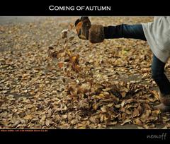 COMING OF AUTUMN