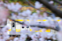 ウキウキ気分♪