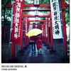 雨の中。。。
