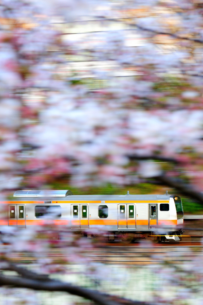 春の隙間から
